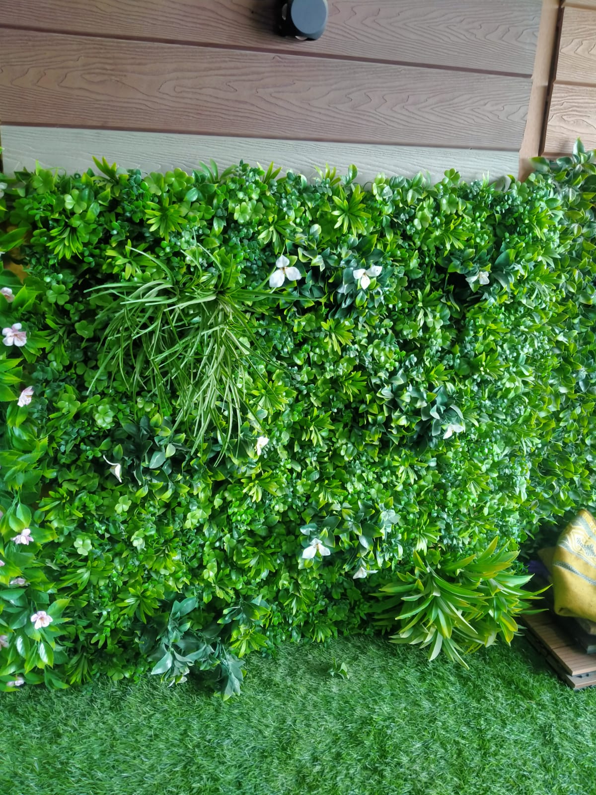 عشب جداري (2)