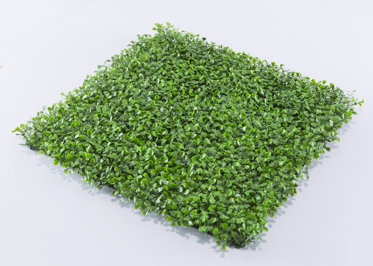 عشب جداري (5)