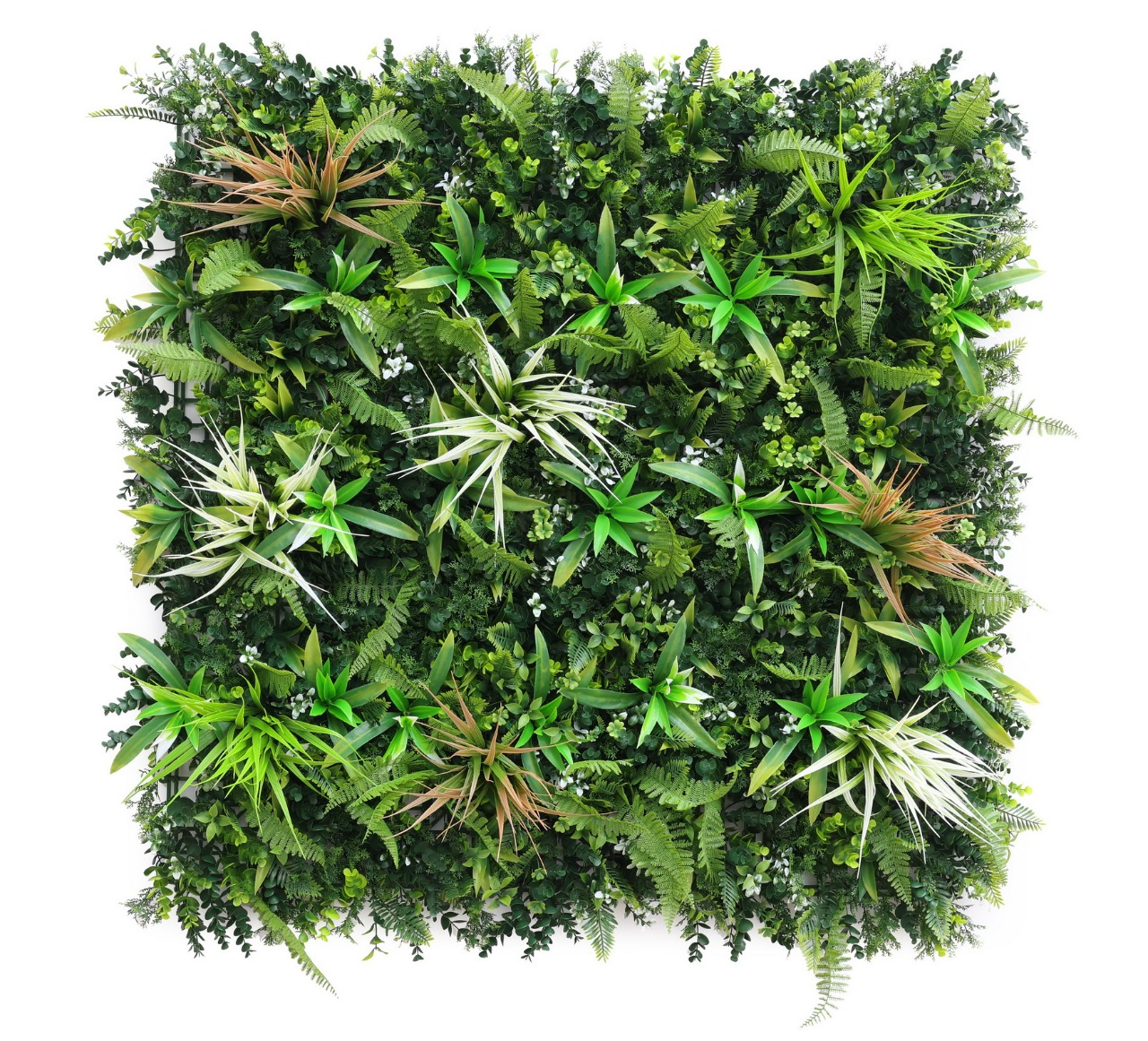 عشب جداري (9)