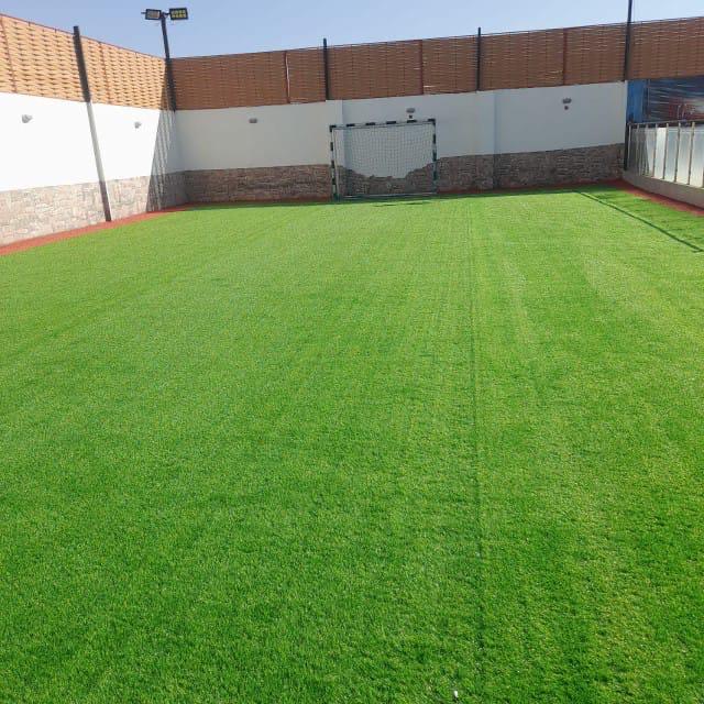 عشب صناعي (8)